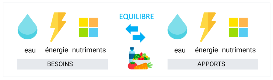 besoins nutritionnels
