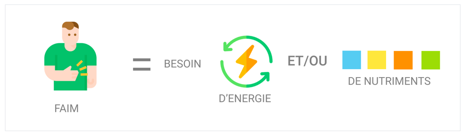 pourquoi a t'on faim